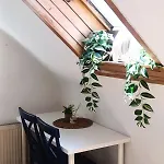 For Families Or Groups Laibach