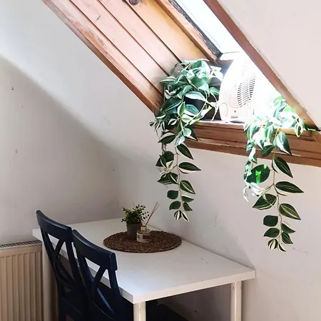 For Families Or Groups Lubiana