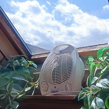 For Families Or Groups