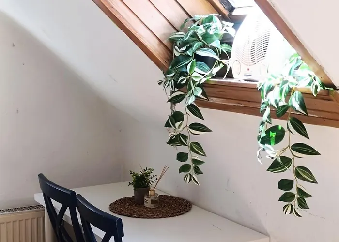 For Families Or Groups Laibach