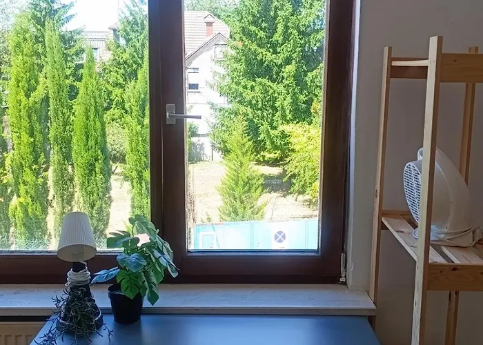 For Families Or Groups * Laibach