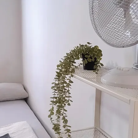 For Families Or Groups *